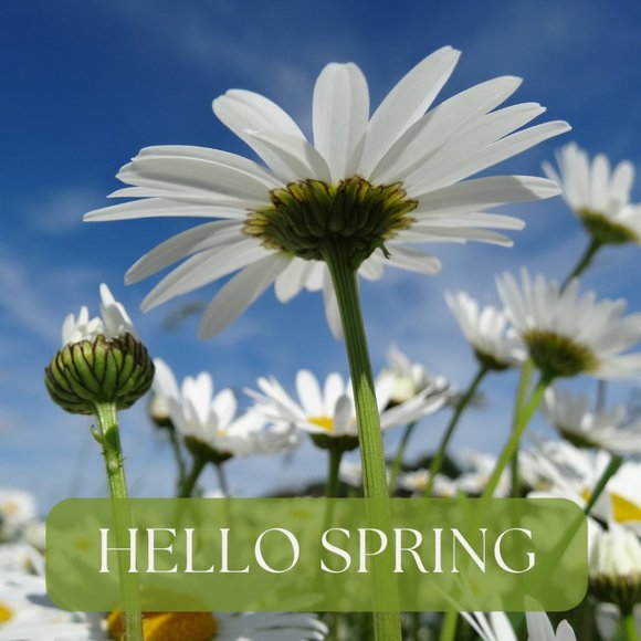 none - Picture 8 of 13